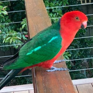 Meet your Posher, Gai